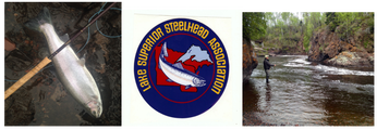 <br /><br />Lake Superior Steelhead Association